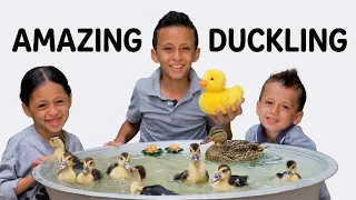 ​Amazing Duckling The Yellow Duck Adventure