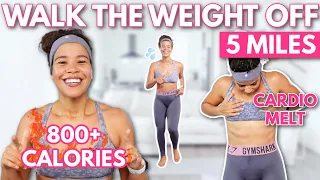 5 Mile INTENSE Full Body Walking Workout (Burns over 800 Calories) No Equipment, All Standing