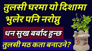 तुलसी को बिरुवा घरमा यो दिशामा भुलेर पनि नरोप्नु बर्बाद हुन्छ || Tulsi palnt vastu