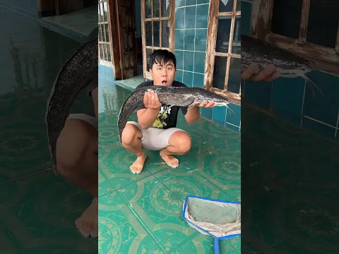 Pagi Pagi Nyeser Di Depan Rumah Dapat Ikan Lele Berat 5 Kg #nyeser #lele #lelejumbo #banjir #pagi