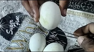 RAW EGG PEELING CHALLENGE #2