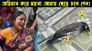 দুর্ভাগা কথা বলা শালিক ছানার জীবন কাহিনী |Bird story -146| The life story of Shawl Bird|Jactok|Ep:08