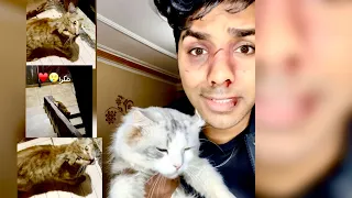 انقاذ قطه من الدور السادس 😢