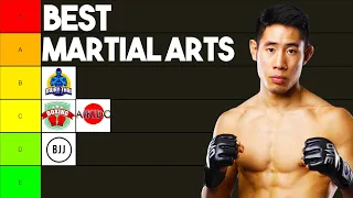 Best Martial Arts Ranked By MMA Fighter