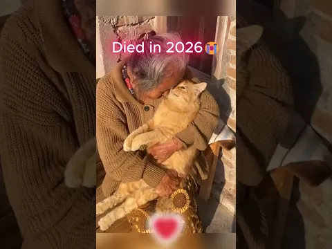 Gone But Never Forgotten (Then vs Now) 💔🕊️