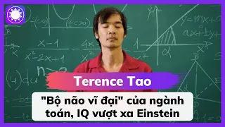 Terence Tao - "Bộ Não Vĩ Đại" Của Ngành Toán, IQ Vượt Xa Einstein