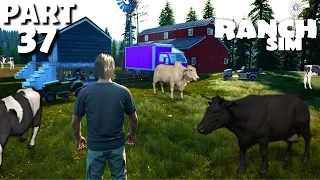 Hardware Store Is My New Barn House - Ranch Simulator - PART 37 (HINDI) 2021
