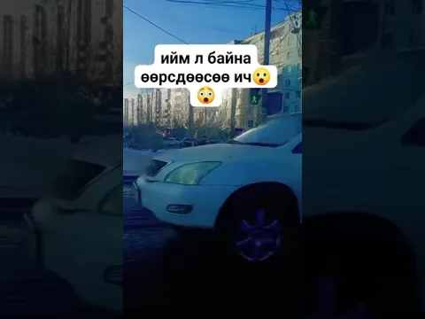 Love dogs’ intelligence