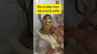 शिव पर पीला चन्दन लगाने का महत्त्व....#प्रदीपमिश्रा #pradeepmishra #viral #video #subscribe #upay