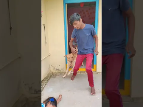 Dogs True' Love #viral #gani #support