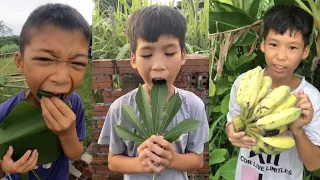 Cậu Bé Nghèo Ăn Lá Chuối Và Cái Kết - Cậu Bé Nghèo Ăn Lá Sắn - Cậu Bé Trộm Chuối