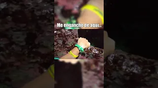 Os enseño la salida del túnel submarino 😱 #shorts