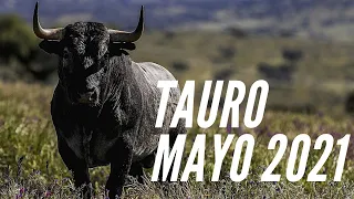 TAURO MAYO 21 ♉ EL CAMBIO VIENE A LA FUERZA! NUEVO CAMINO, AVANCES FUERTES. ENFRENTAR LO NEGADO