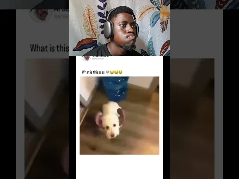 🎬 Try Not to Laugh Challenge..😅😅🎯Ep 17 To 1000 #trending#trynottolaugh #funny#reactionvideo#memes