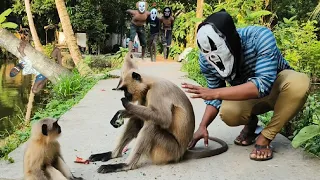 Hanuman