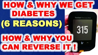 How & Why We Get Diabetes - & How You Can Reverse It!