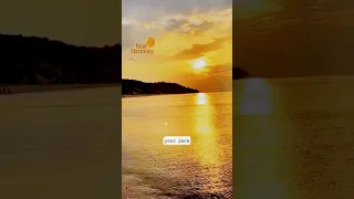 Before You Scroll, Pause Here