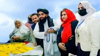 Zabiullah  mujahed 4K