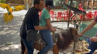 LLEVAMOS A EL PITYN A EL ZOOLÓGICO