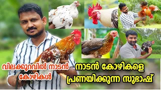 നാടൻ കോഴി വളർത്തൽ | Nadan kozhi valarthal 🐔🐓