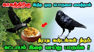 காகத்திற்கு இந்த ஒரு பொருளை வைத்தால் ! தீராத கஷ்டங்கள் தீரும் ! கட்டாயம் இதை செய்து பாருங்க !