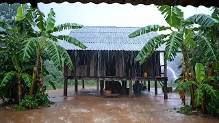 No Ads Rain Sounds for Sleeping - ASMR Rain and Thunder Sounds For Sleeping, Relaxing