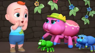Ovos Coloridos Surpresa com Animais | Músicas Infantis | Leo em Português - Canções Infantis