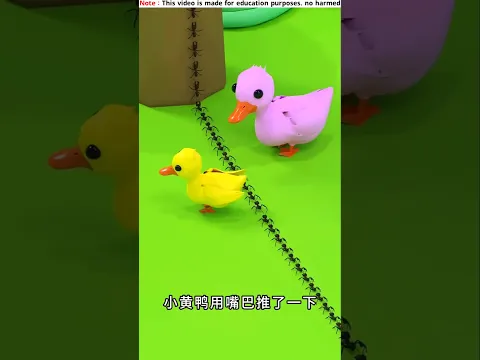 Cute Duck ❤️🐣~New Viral Gadgets/ Smart Appliances/ Kitchen Utensils/ Home Inventions #shorts