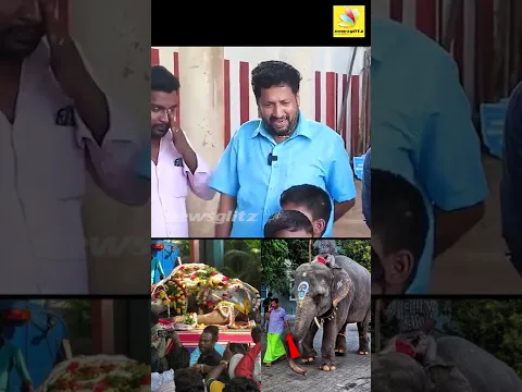 என்மேல குத்த வேண்டியது கார் மேல குத்திடிச்சு😢 | #Shorts | Puducherry Elephant Lakshmi