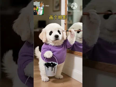 dog become bear#FunnyAnimals #CuteAndFunny #BearAndDog #AnimalSchool #UnexpectedMoments #petsupplies
