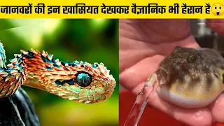 इन 6 जानवरों की सुपर पावर देखकर वैज्ञानिक भी हैरान हैं | Most Amazing Animal Abilities (Part-1)