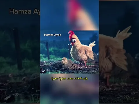 دجاجه لم تبض اليوم ولكن....🙀🙀#cartoon #anime #animation