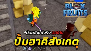 Blox Fruits ปั้มฮาคิสังเกต V2 ด้วยลิงตัวเดียว 5000 แต้ม ได้จริง 100%