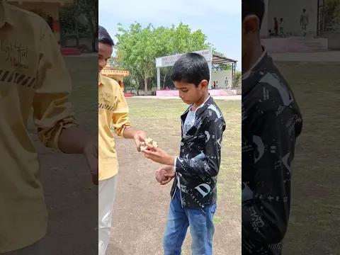 BALL IN THE CASE PUZZLE #shorts