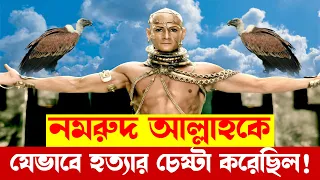 আল্লাহকে হ'ত্যার জন্য নমরুদ কীভাবে আকাশে উঠেছিল? মশা নমরুদের মাথায় ডুকে কি দেখতে পেল??