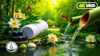 Soothing Relaxation🌿 Relaxing Piano Music & Water Sounds for Sleep, Meditation, Spa & Yoga