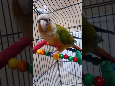 ❤