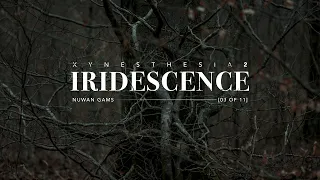 Iridescence (Xynesthesia 2 - Track 03)