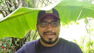 Explorando Honduras, mira todo lo que encontré en esta aldea de Honduras