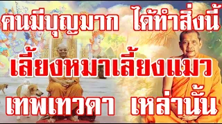 คนมีบุญมาก!!เพราะได้ทำสิ่งนี้ เลี้ยงหมาเลี้ยงแมว อย่าดูถูกนะนั่นเทวดาทั้งนั้น