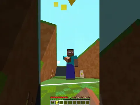 Tiny Ohio Steve in Minecraft
