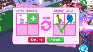 What would people trade for a Mega Flamingo?!?! 🦩 | Adopt Me Trading Video by Lavender💜
