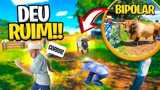 NUNCA PROVOQUE UM Touro BIPOLAR DO PAULO EMILiO!