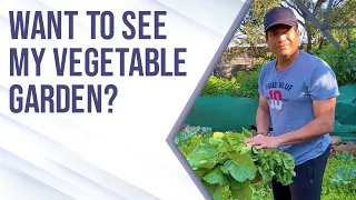 Sachin Tendulkar's vegetable garden | सचिन तेंडुलकर का सब्जियों का गार्डन