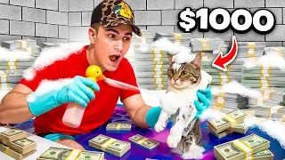I Gave My Cats a Luxury Spa Day!