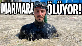 SALYA KAPLI DENİZE DALDIM!! (İÇLER ACISI)