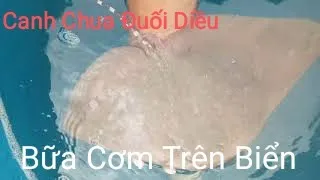 Nghề giã cào biển.Bữa cơm trên ghe  biển.Ăn cơm với cá đuối  nấu canh chua.