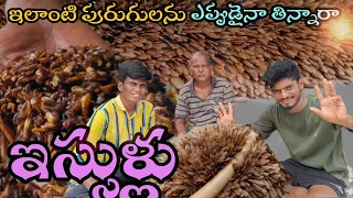 వానాకాలం దొరికే ఇసుళ్ళు #nature #trending #village #esullu #winged termites #giftsofthenature