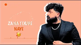نايه ده نايه _ Zana Tixube Nayê de Nayê