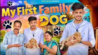 MY FIRST FAMILY DOG || Middle Class Family || Sumit Bhyan